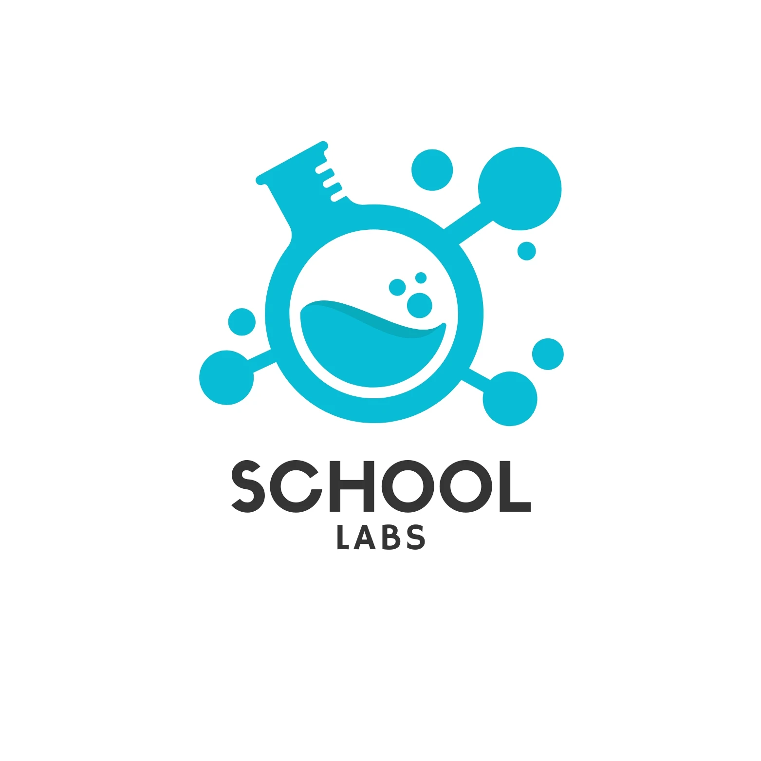 School Labs