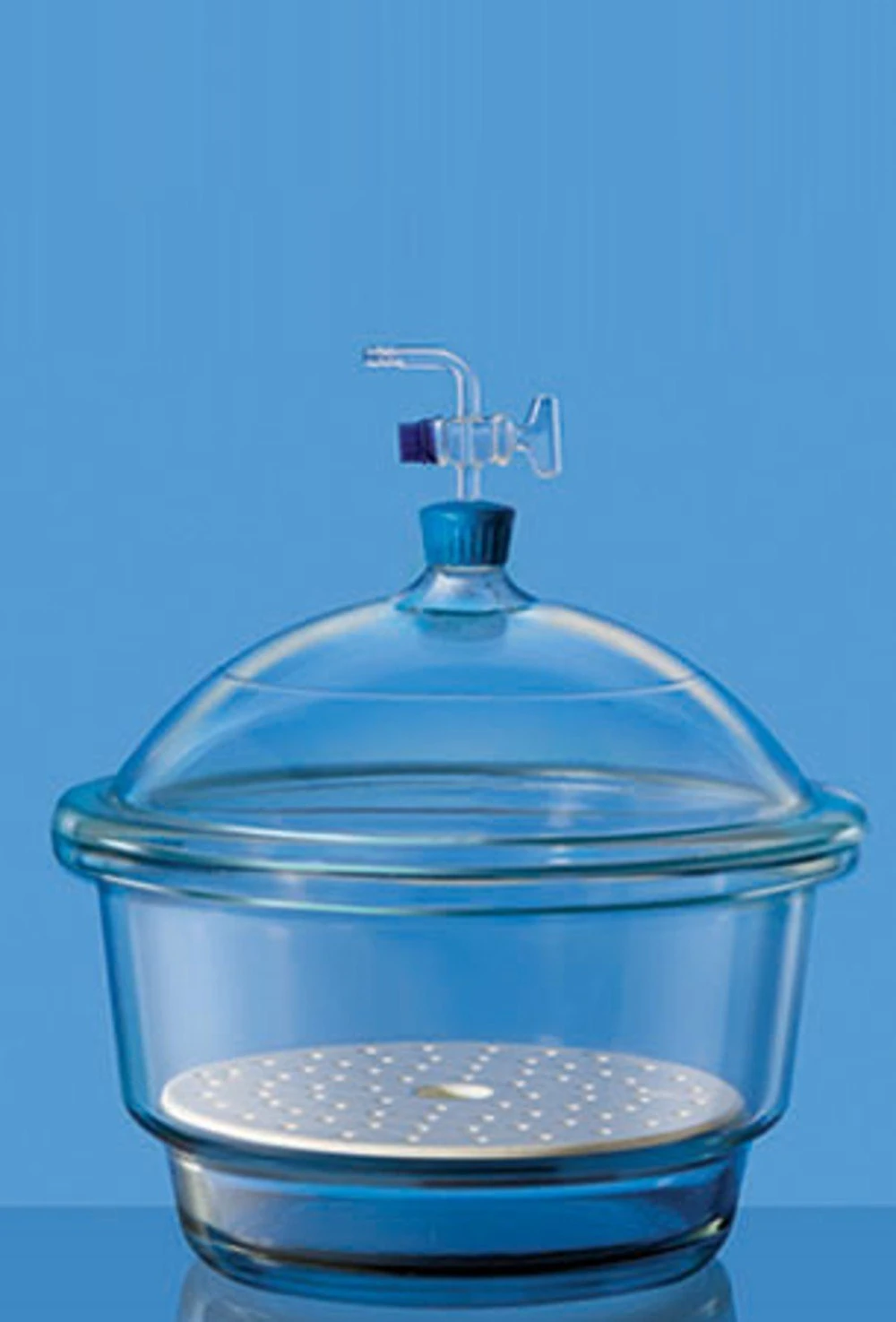 3083 - VACUUM DESICCATOR SET With Cover & Porcelain Plate