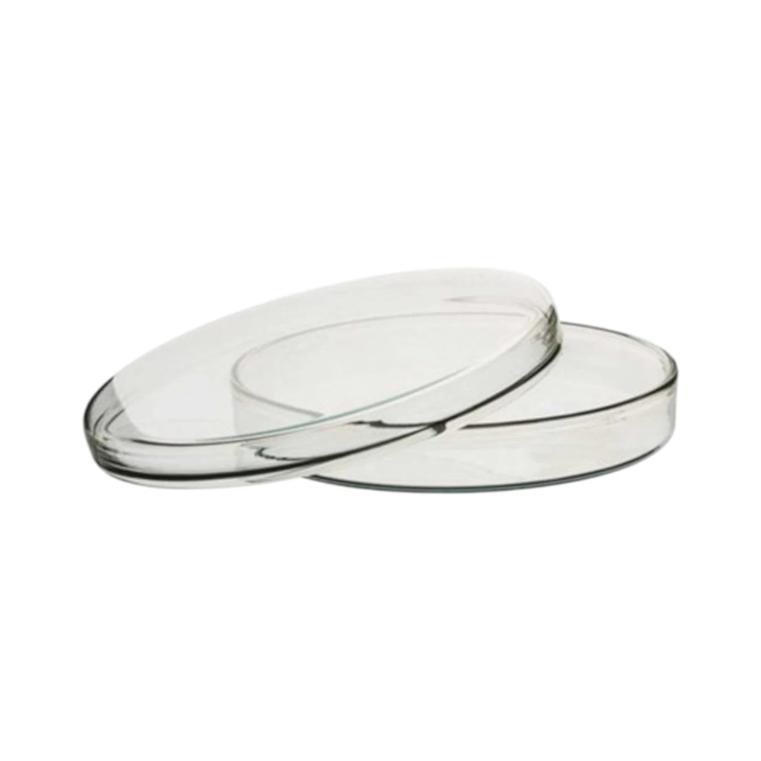 Glass Petri Dishes