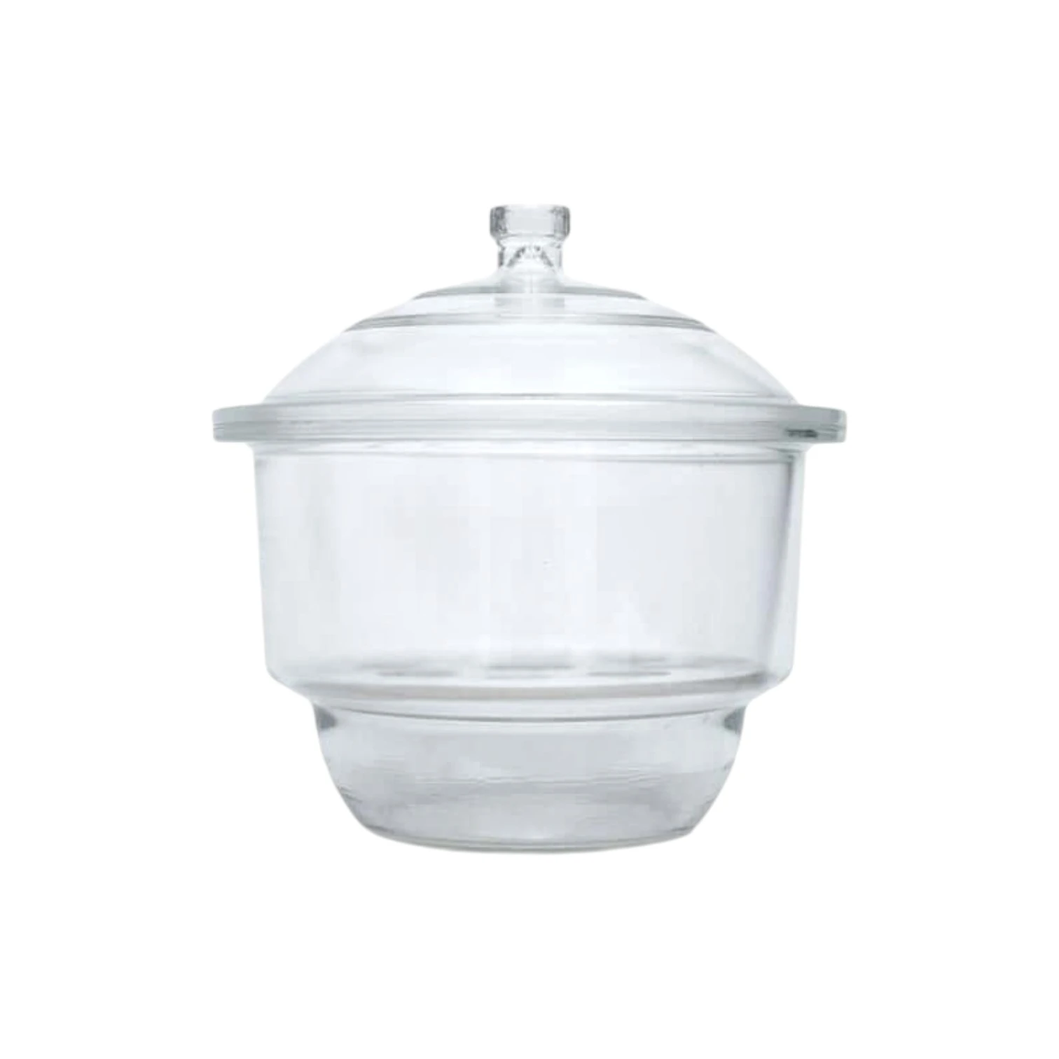 Desiccator