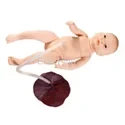Newborn Baby with Placenta