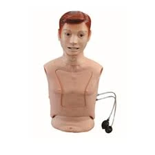 Nasogastric Feeding & Tracheal Intubation Simulator for Medical Training