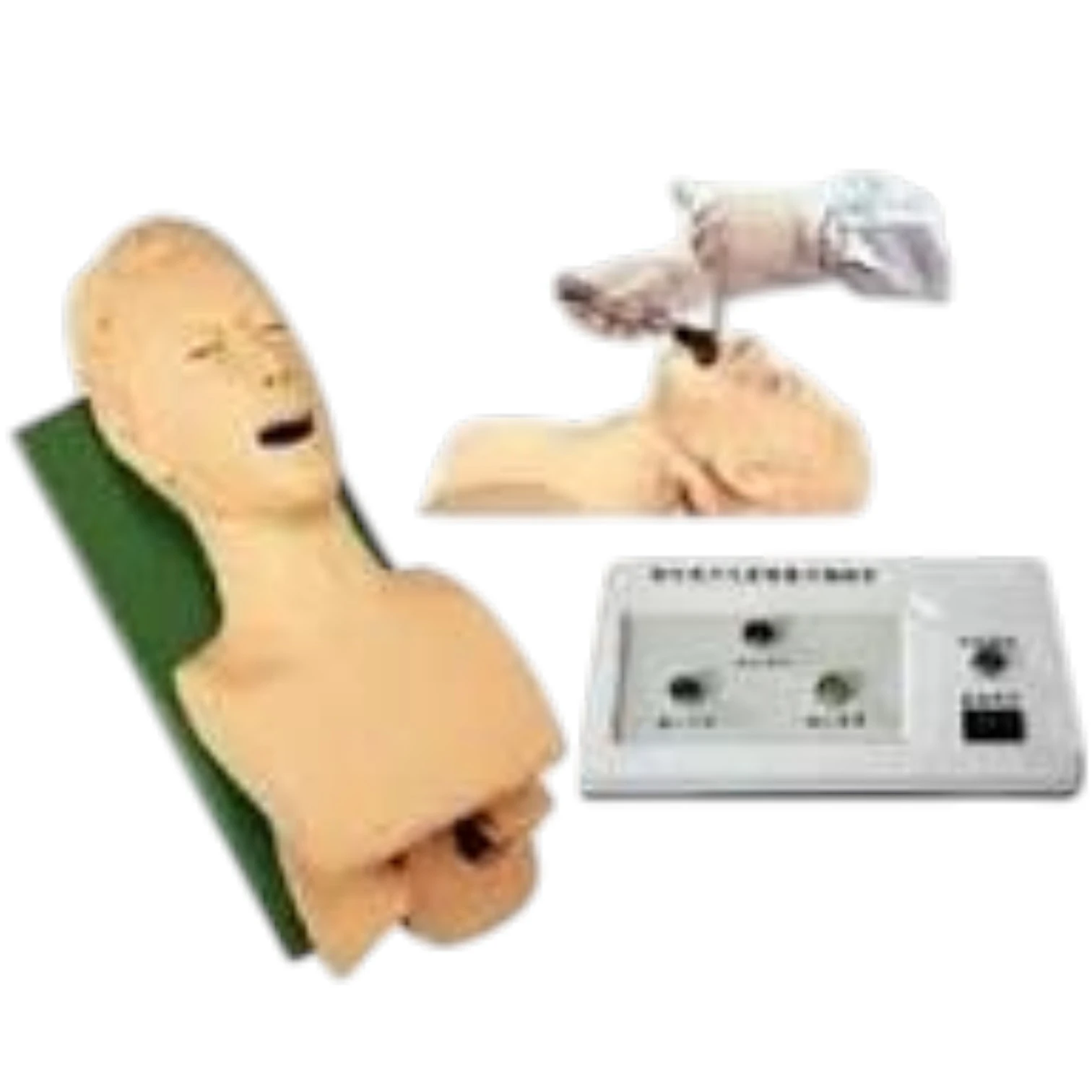 Airway Intubation Model