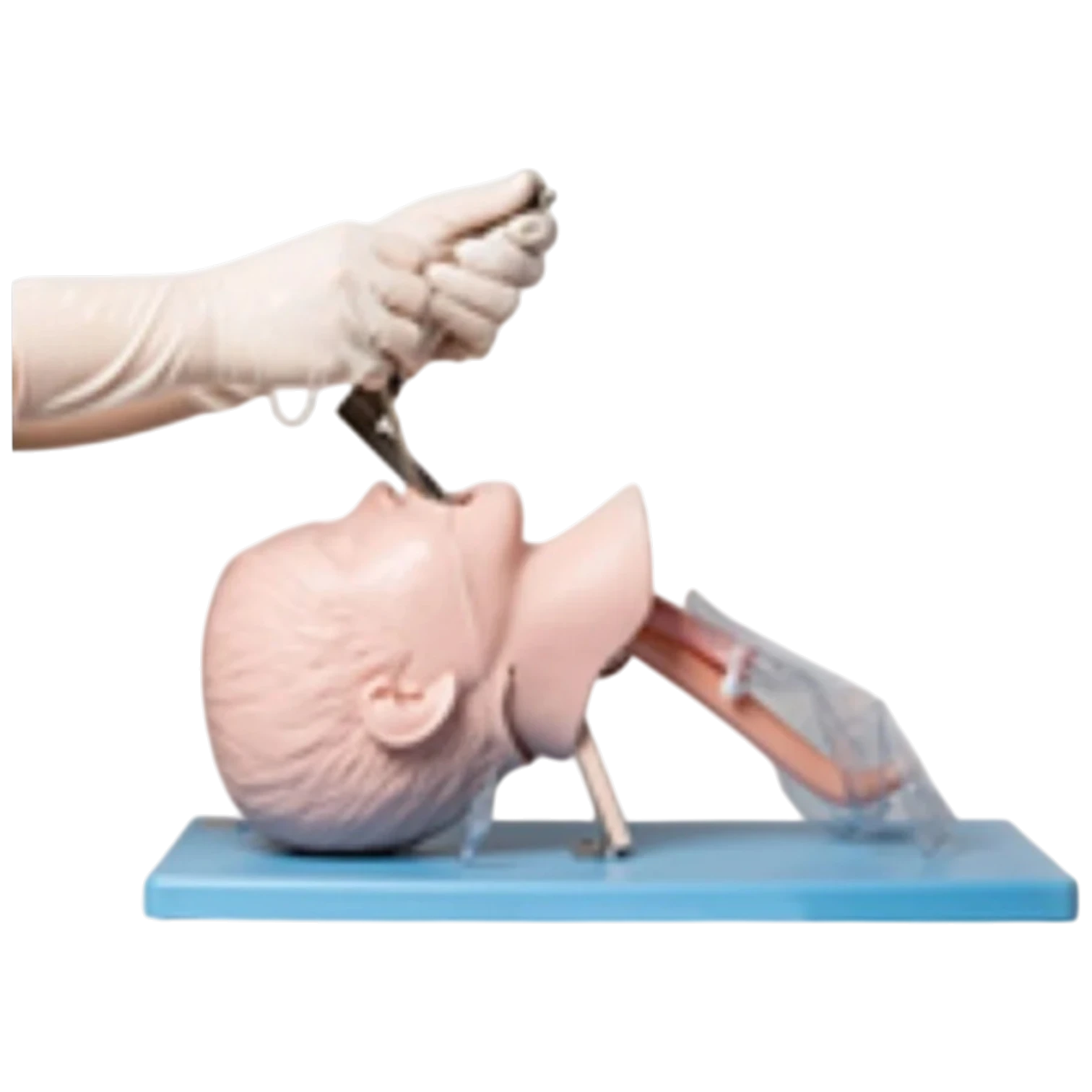 Child Tracheal Intubation Model for Pediatric Airway Management Training