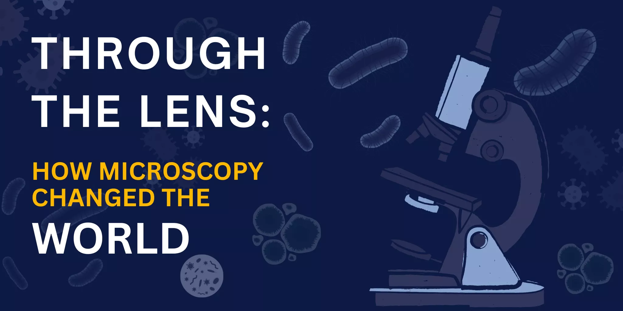 How Microscopy Was Discovered and How It Changed the World