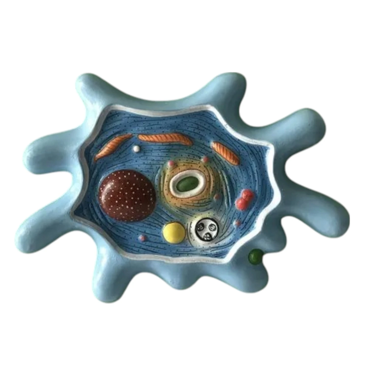 BMZ04 Amoeba
