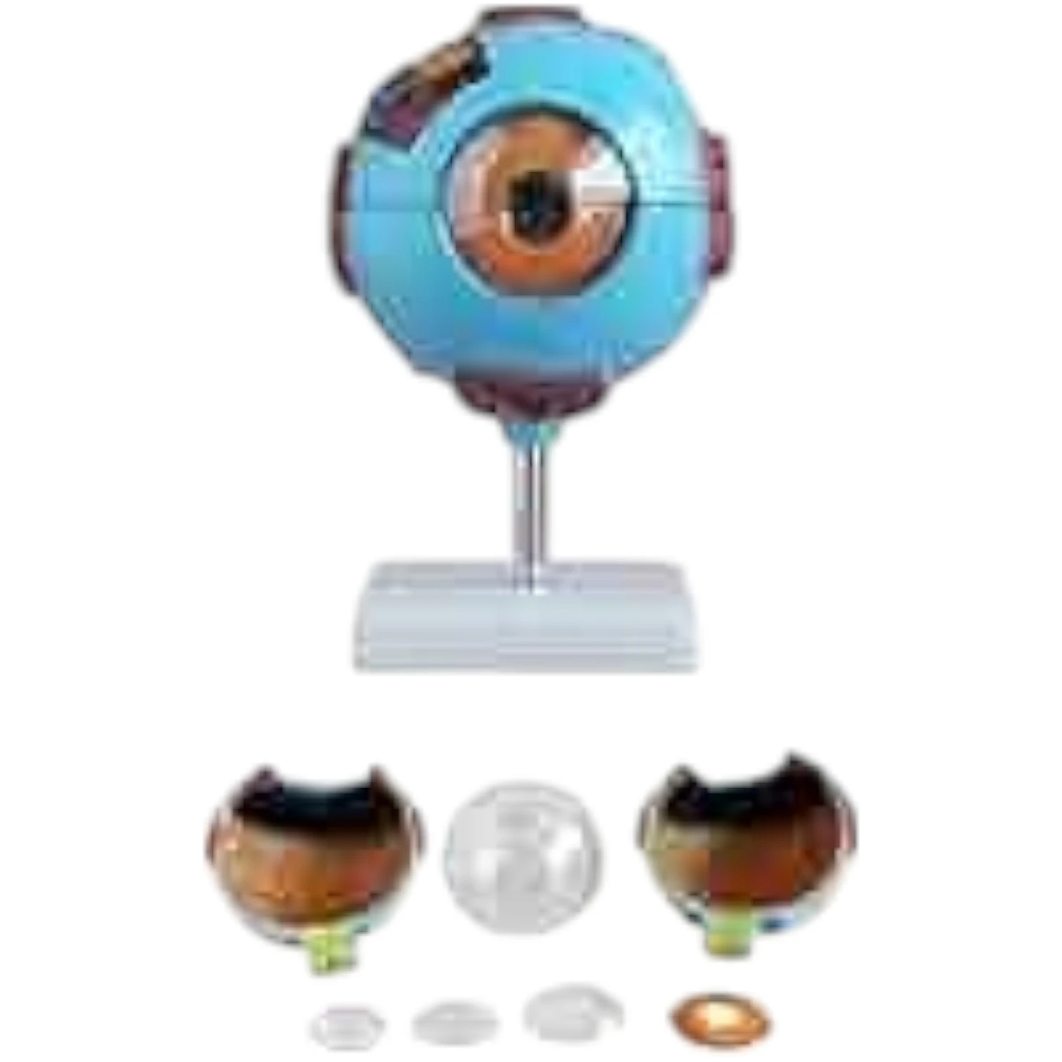 XC-316 Giant Eye Model