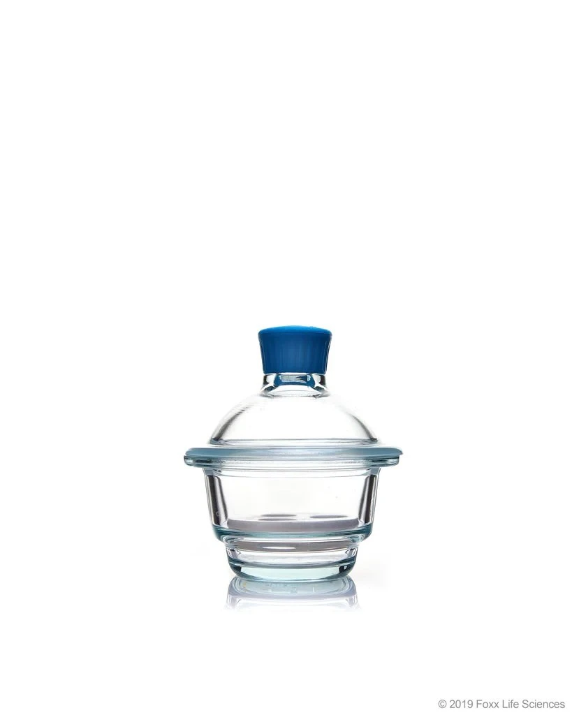 3082 - DESICCATOR SET With Cover & Porcelain Plate