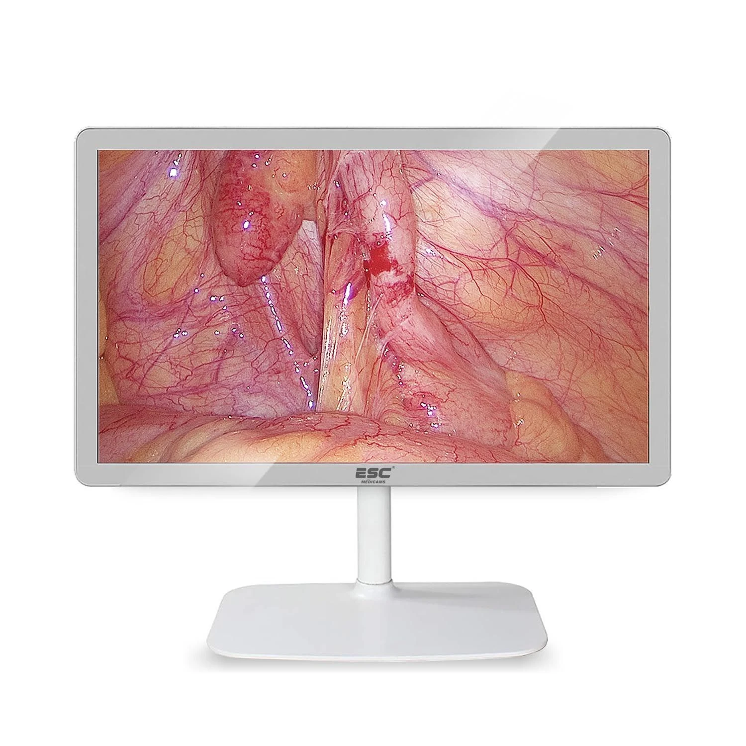 Surgical Monitor 22 Inch