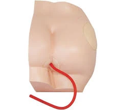 Buttock Injection Model