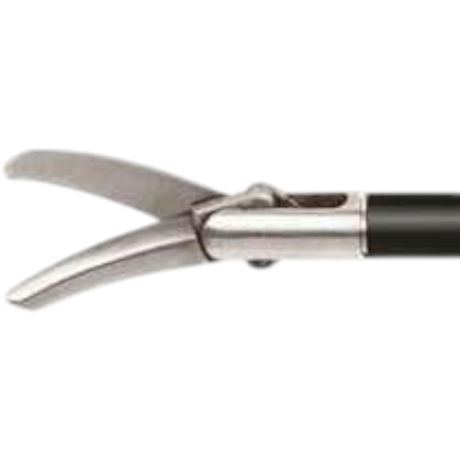 Curved Scissor