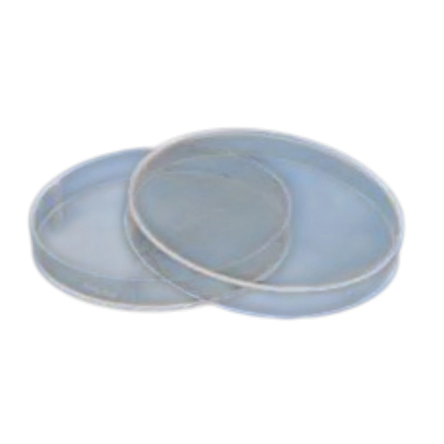 Petri dish
