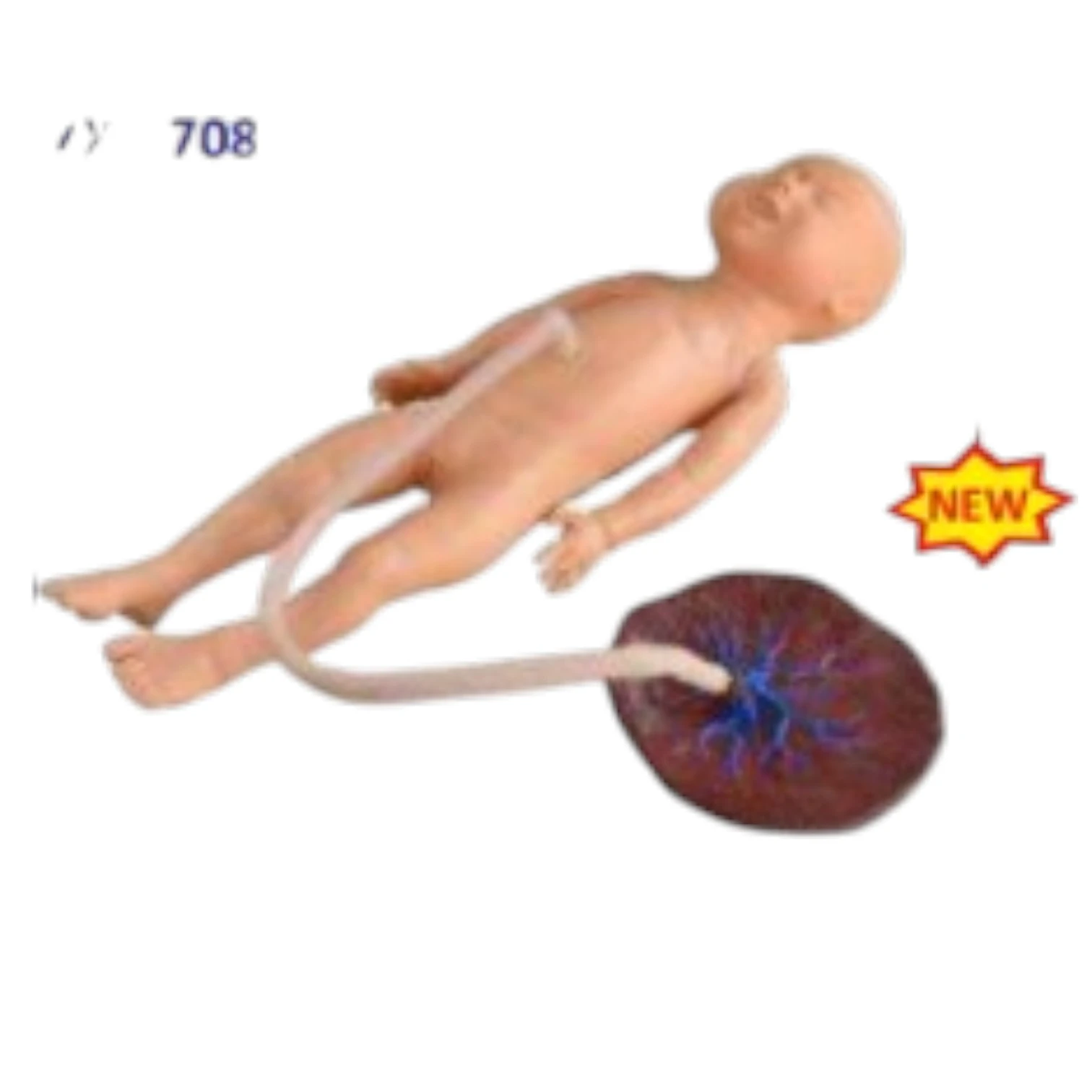 Newborn Baby with Placenta