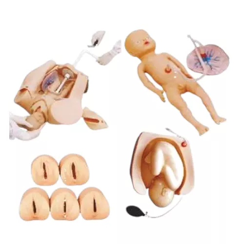 Advanced Abdominal Palpation and Delivery Mechanism