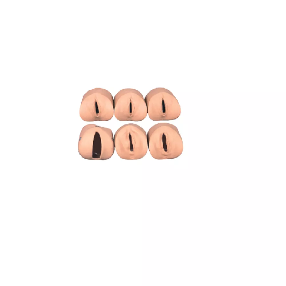 Labour Delivery Simulator (Cervical Dilation Model)
