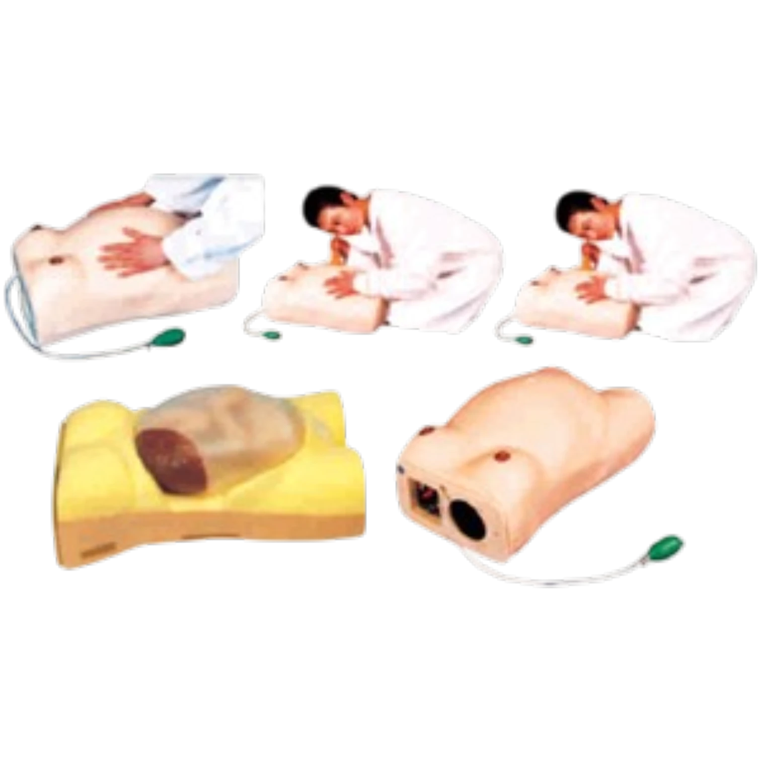 Maternity Examination Model