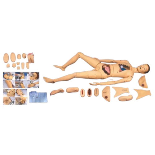 Advanced Nursing & Wound Care Manikin (Male)