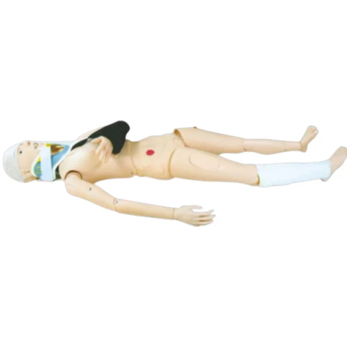 Advance Nursing Training Manikin for Simulation of Fracture