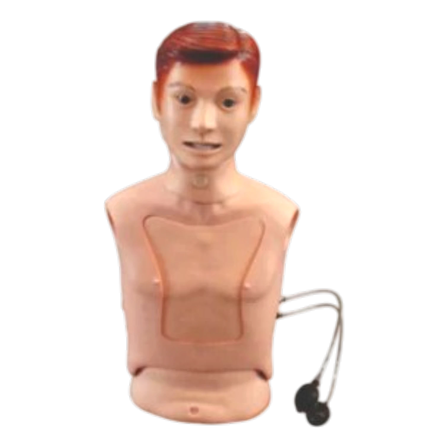 Nasogastric Feeding & Tracheal Intubation Simulator for Medical Training