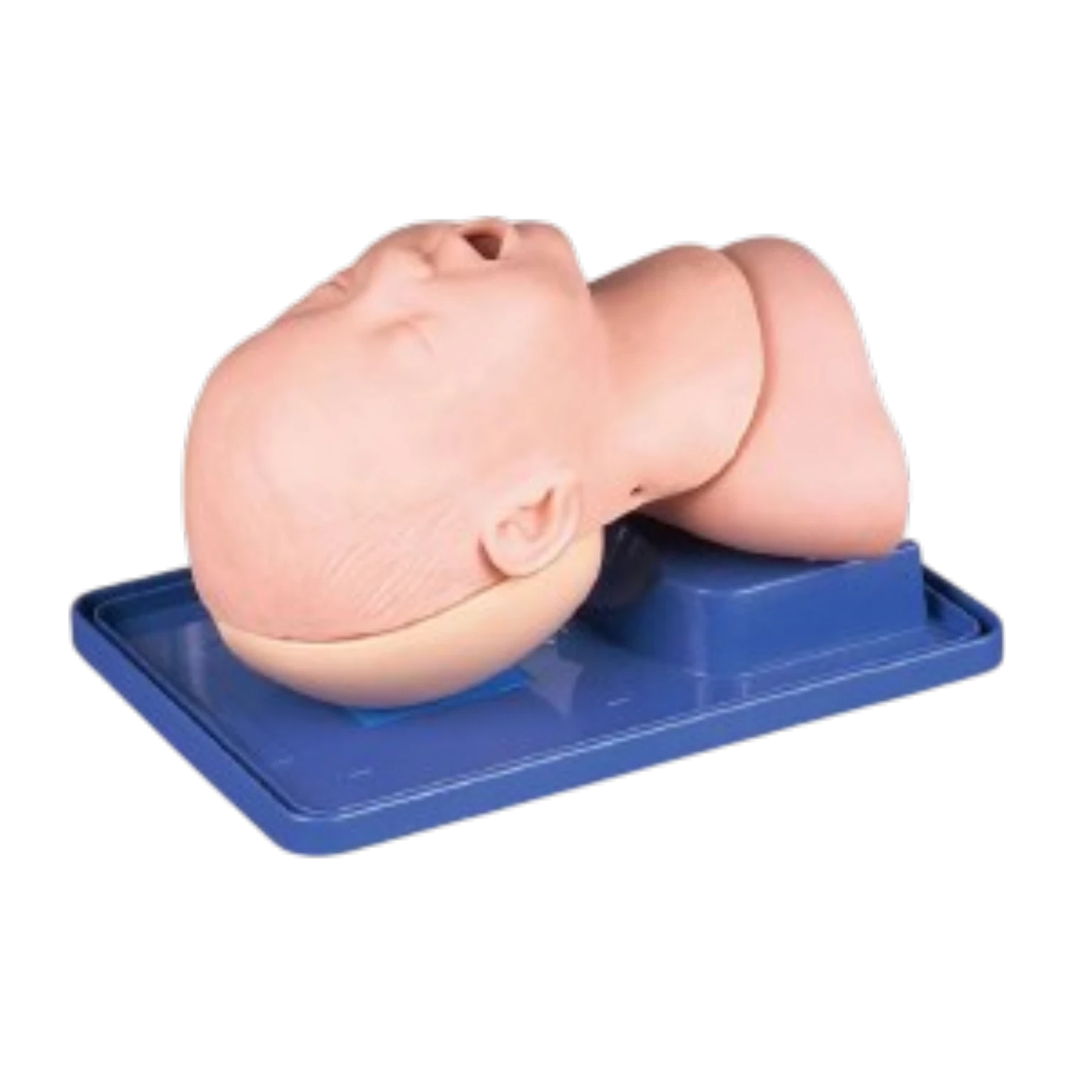 Infant Airway Management Model