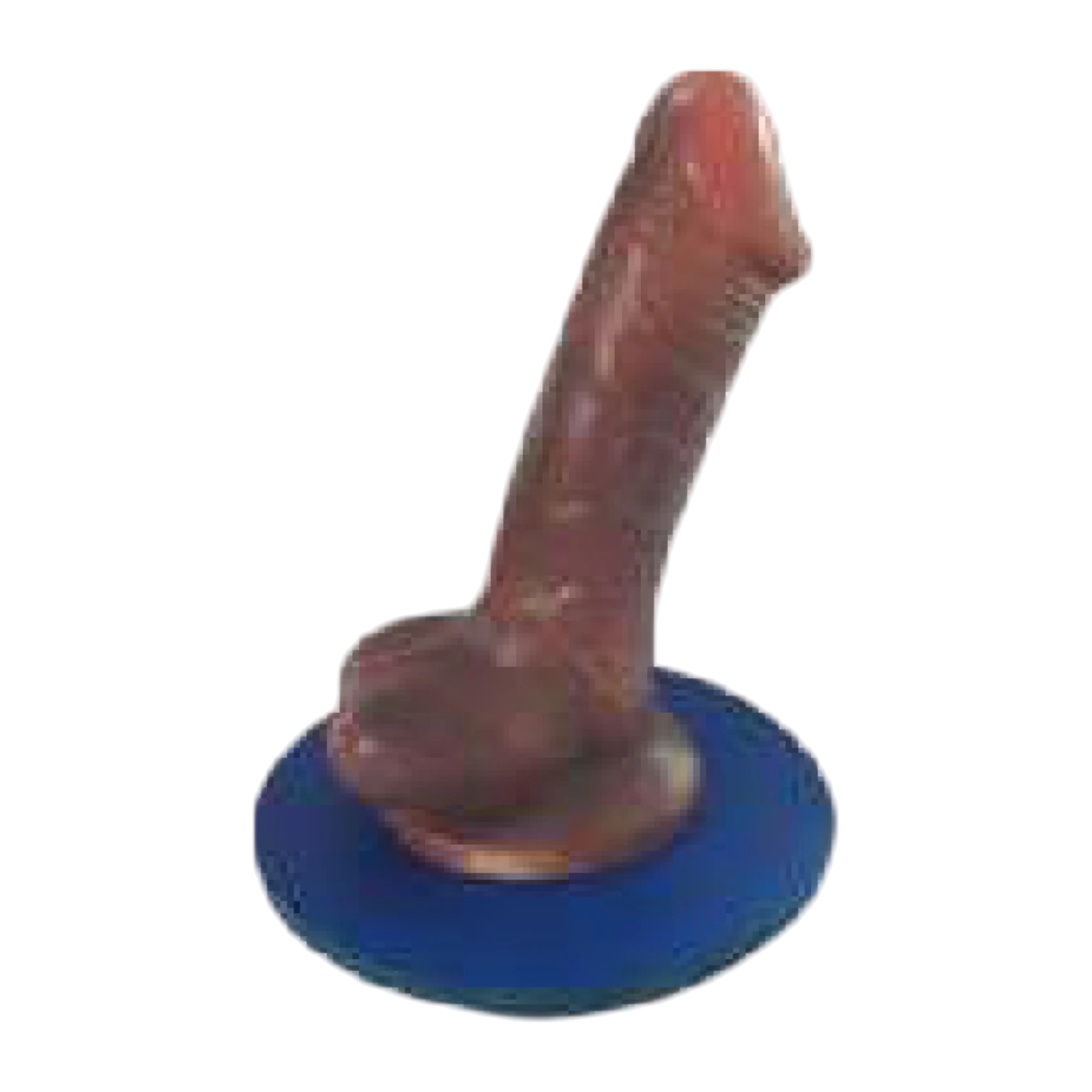 Male Condom Training Model